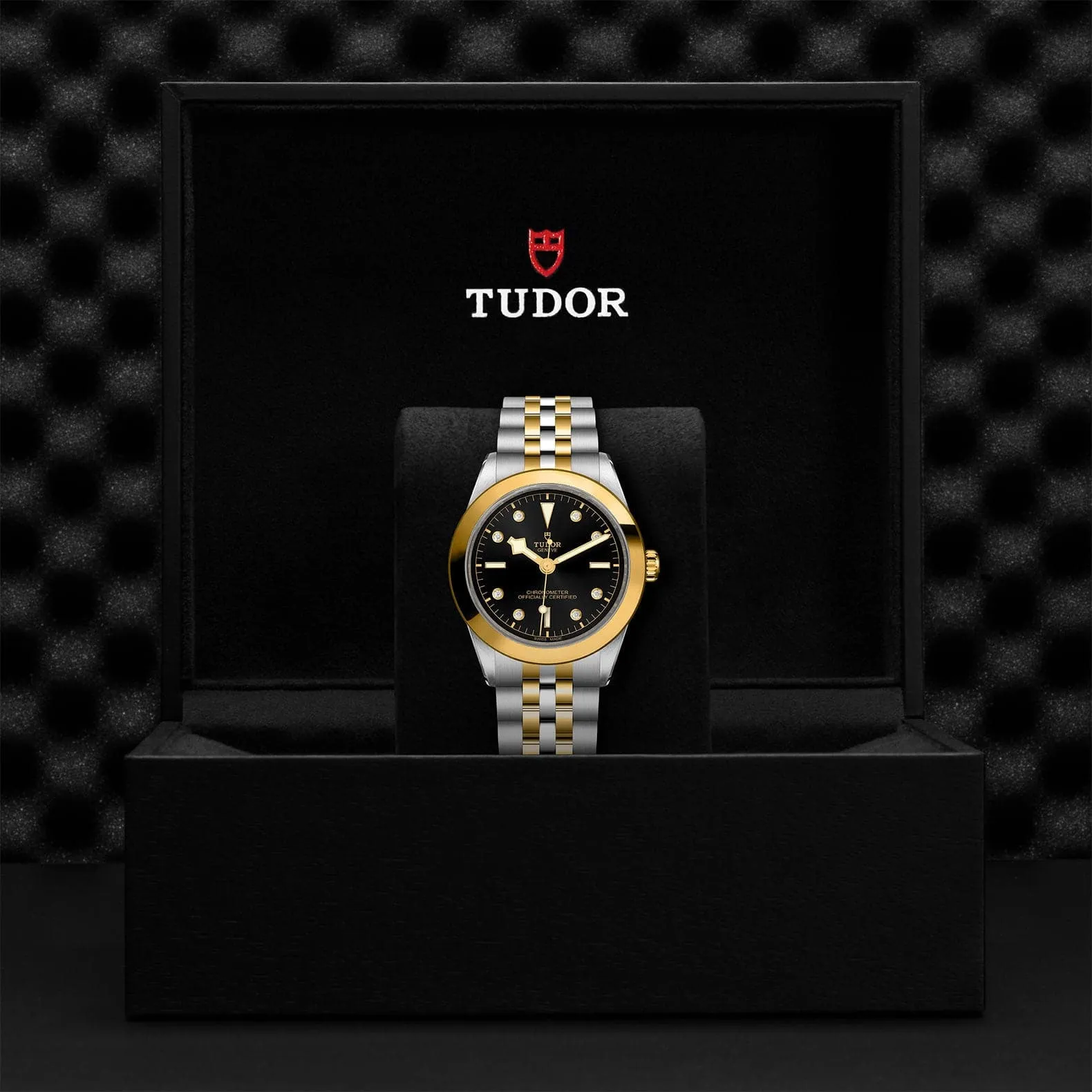 TUDOR Black Bay 31/36/39/41 S&G 39mm Steel Case - M79663-0006