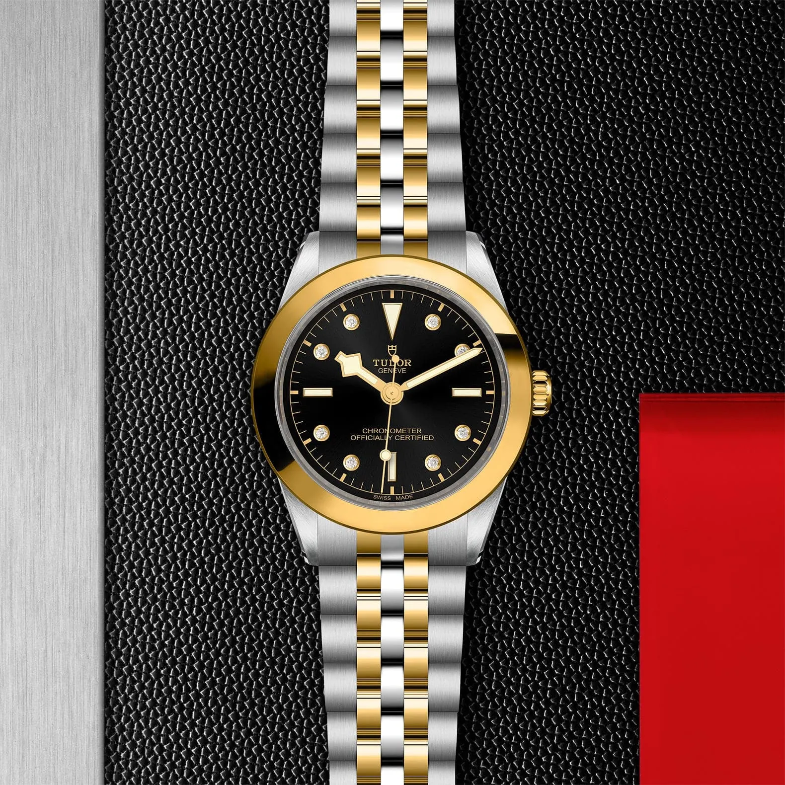 TUDOR Black Bay 31/36/39/41 S&G 39mm Steel Case - M79663-0006
