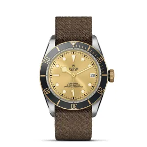 TUDOR Black Bay S&G 41mm Steel And Gold - M79733N-0006