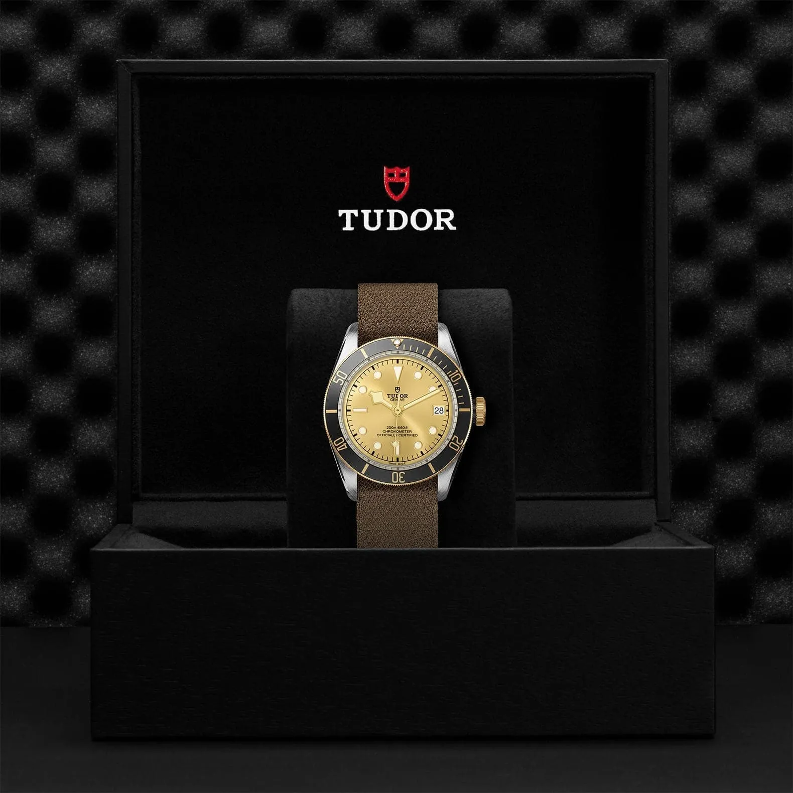 TUDOR Black Bay S&G 41mm Steel And Gold - M79733N-0006